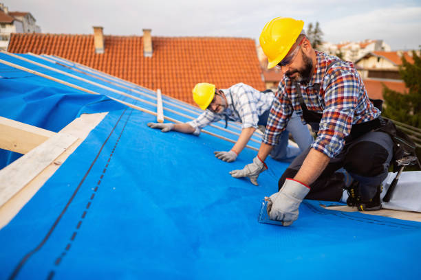 Best Gutter Installation and Roofing  in Orida City, FL